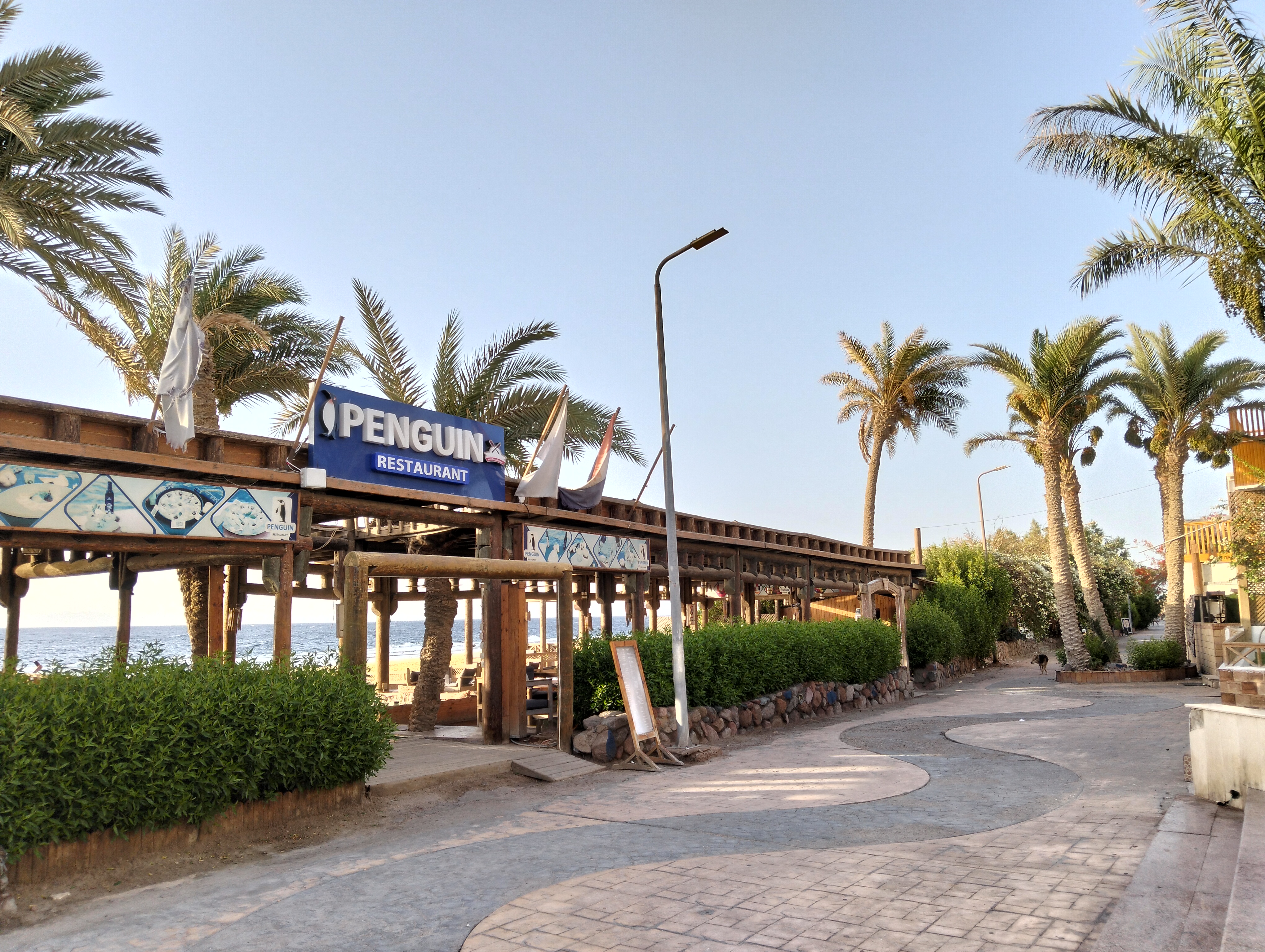 Penguin Village Dahab