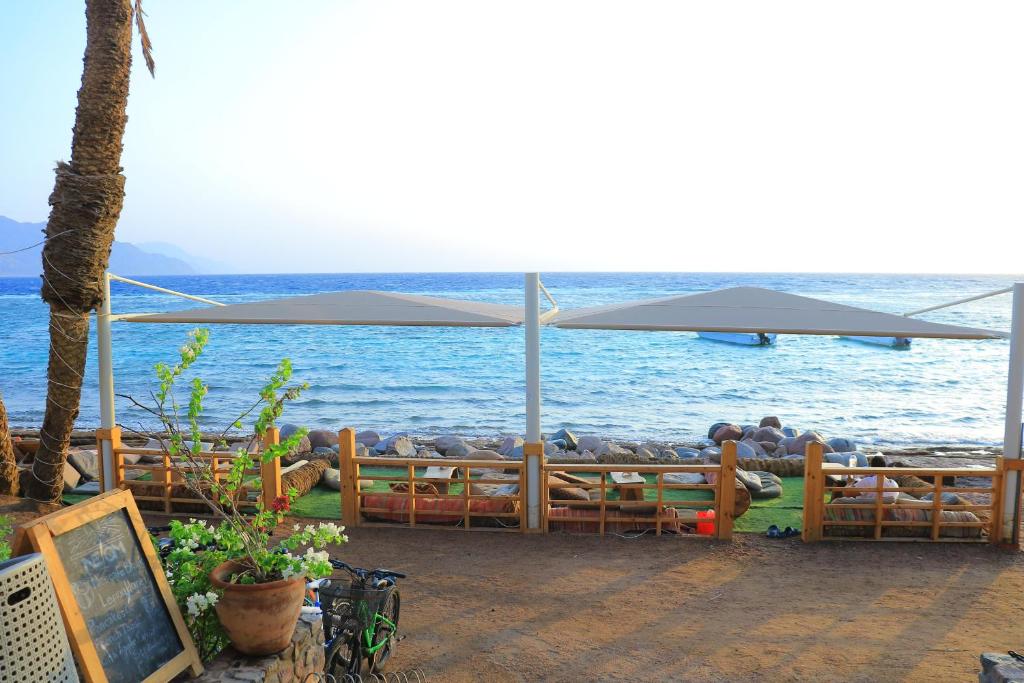 Neom Dahab Hotel