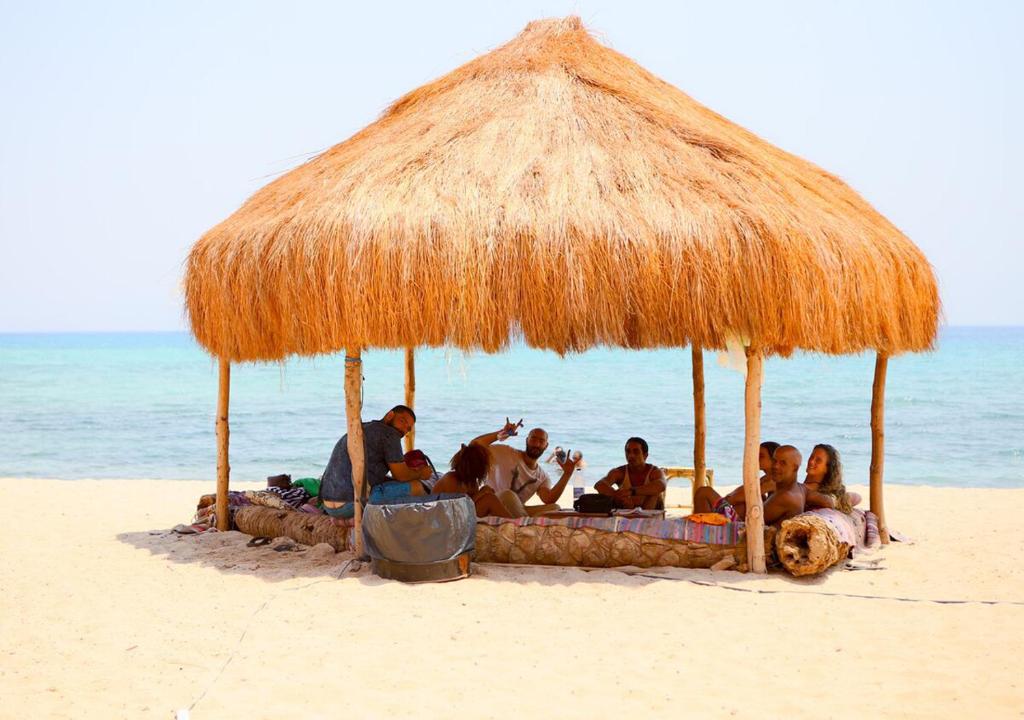 Safari Beach