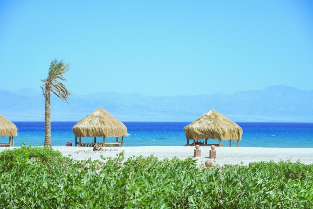 Safari Beach