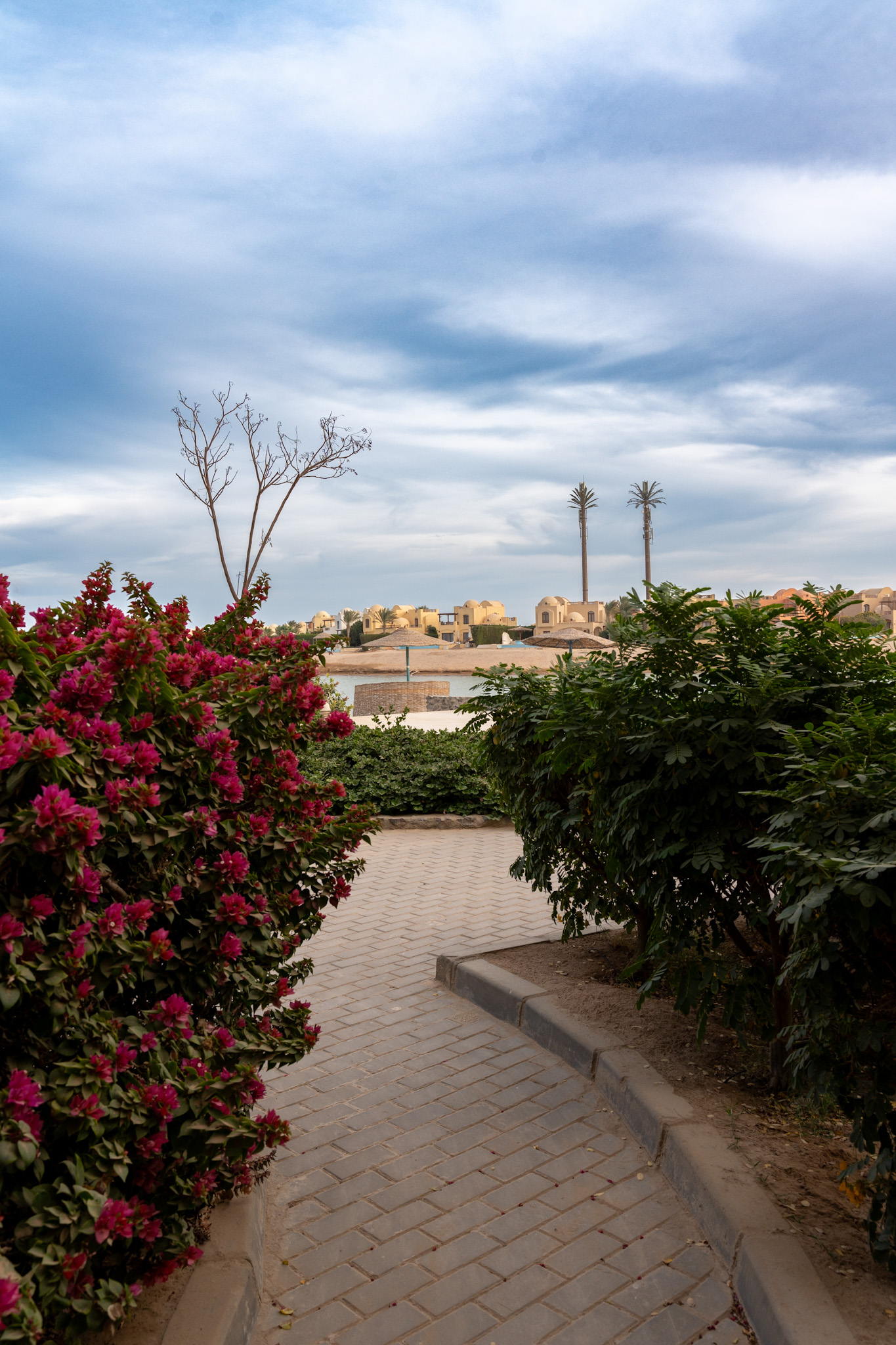 1BR - Apartment - Canal View - El Gouna