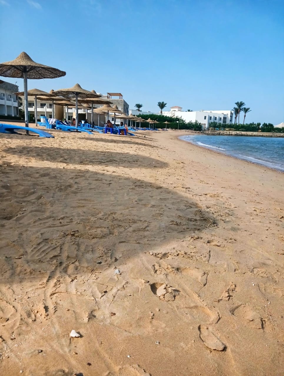 Elite Sea Sky Beach Resort