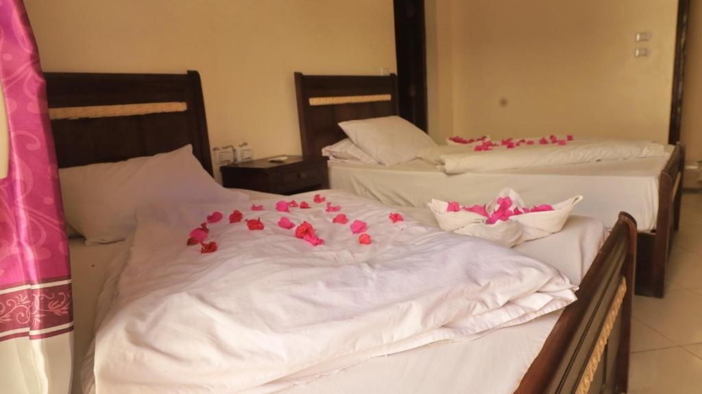 Deluxe Double Room (2 Adults + 1 Child)