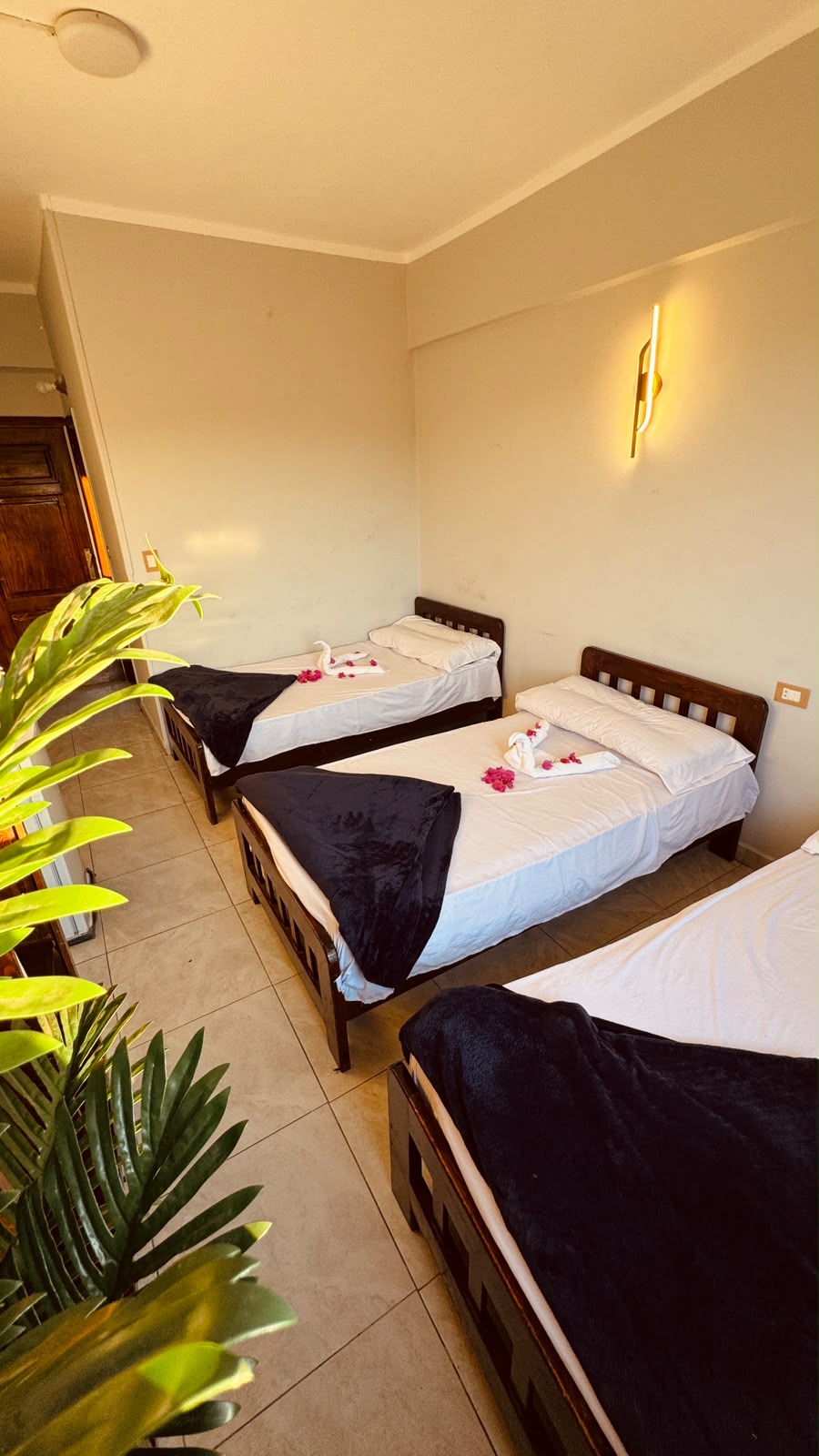Triple Room